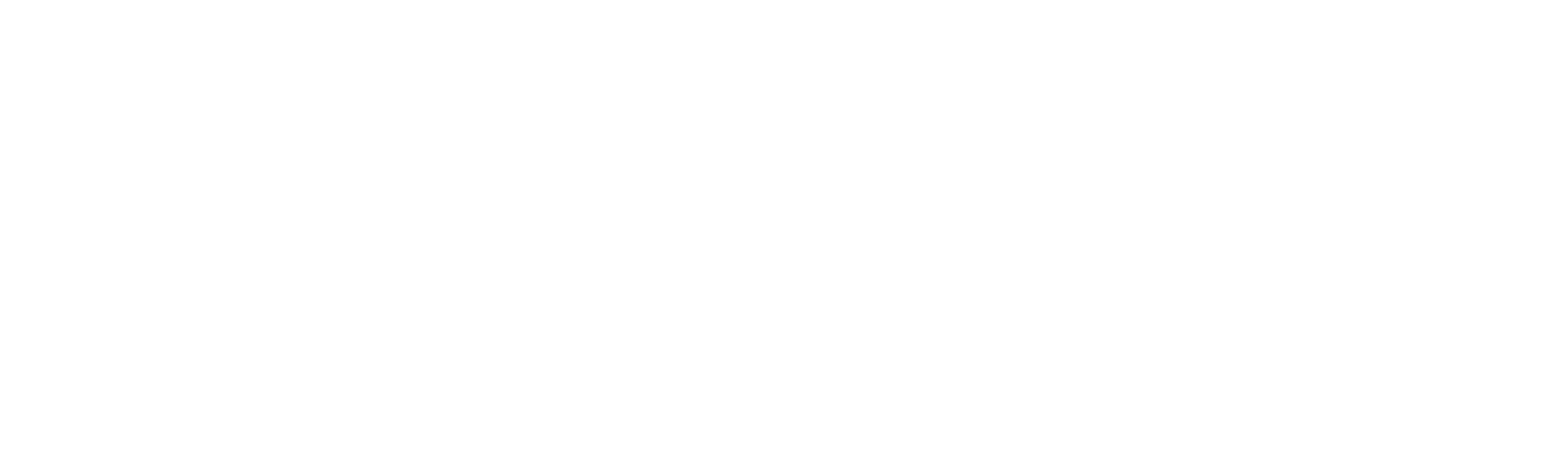 The Bridges Autos